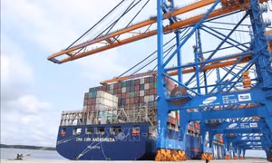 OECD dự báo kinh tế Việt Nam năm 2023 tăng 6,5%