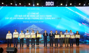 Cục Hải quan và TP Móng Cái đứng đầu DDCI 2022