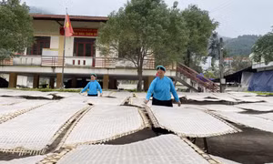 Nguồn vốn được bổ sung đáp ứng nhu cầu vay vốn của các đối tượng theo Nghị quyết 11