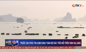 Trước ngày 28/4 phải thu gom xong toàn bộ rác trôi nổi trên Vịnh Hạ Long