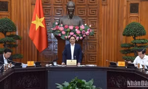 Kịp thời đề ra các cơ chế, chính sách hiệu quả hỗ trợ người dân, doanh nghiệp