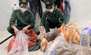 Tẩm ma túy vào thảo mộc