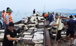 Quyết tâm xử lý dứt điểm rác thải từ nuôi trồng thủy sản