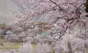 Thiên đường hoa rực rỡ, nên thơ giữa thung lũng Hunza