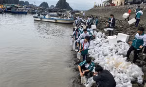 Bảo vệ môi trường di sản thiên nhiên, đa dạng sinh học