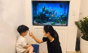 4 bước xử lý đúng nếu trẻ bị sốt khi đang đi du lịch