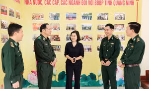 Đảng bộ Bộ đội Biên phòng tỉnh kiểm điểm giữa nhiệm kỳ 2020-2025