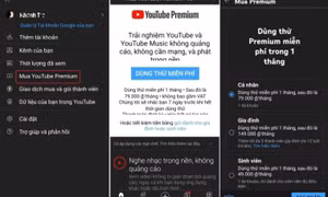 Cách đăng ký YouTube Premium tại Việt Nam