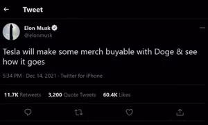 Câu nói của Elon Musk khiến giá Dogecoin bật tăng