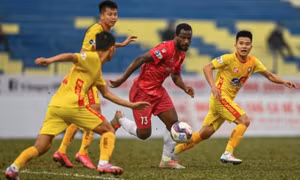 CLB Nam Định và Thanh Hóa từ chối dự AFC Cup