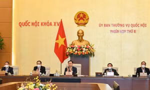 Ủy ban Thường vụ Quốc hội thảo luận nhiều nội dung quan trọng, cấp bách