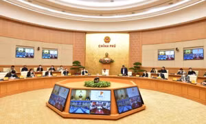 Bàn giao toàn bộ mặt bằng dự án sân bay Long Thành trong tháng 6/2022