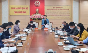 Đoàn ĐBQH tỉnh giám sát việc thực hiện chính sách, pháp luật về công tác quy hoạch