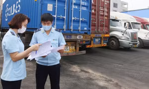 Tạo thuận lợi về thủ tục hải quan với hàng XNK trong bối cảnh dịch COVID-19