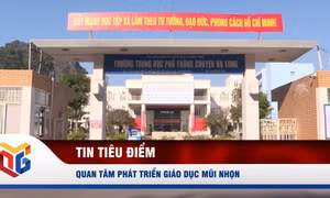 Quan tâm phát triển giáo dục mũi nhọn