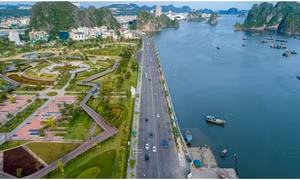 UBND tỉnh: Quyết liệt, sát sao trong chỉ đạo, điều hành thực hiện "mục tiêu kép"