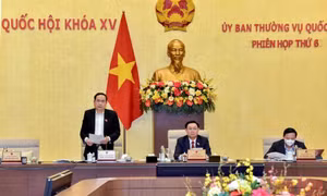 Đánh giá thận trọng, chắc chắn các chính sách đặc biệt, đặc thù