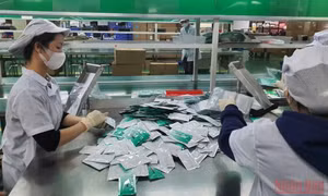 Cấp phép sử dụng khẩn cấp test nhanh kháng nguyên SARS-CoV-2 bằng dịch mũi “made in Vietnam”