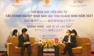 Đồng chí Bí thư Tỉnh ủy tiếp xã giao đoàn doanh nghiệp Nhật Bản