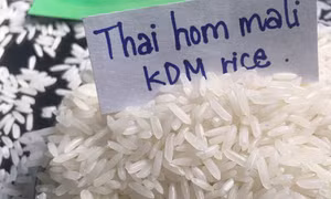 Gạo Thái Lan đoạt danh hiệu 'gạo ngon nhất thế giới 2021'