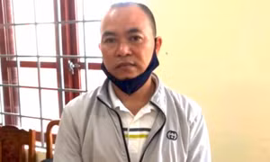 Thuê người làm giả sổ đỏ, mang đi thế chấp vay hơn 8 tỷ đồng