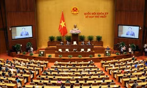 Nhìn lại năm 2021: Quốc hội năng động, đổi mới, hành động quyết liệt vì dân