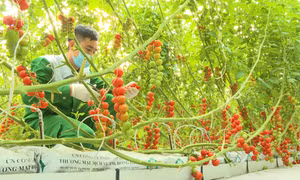 Nông thôn mới: Chỉ có điểm khởi đầu, không có điểm kết thúc