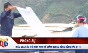 Hiệu quả các mô hình kinh tế giảm nghèo vùng đồng bào dân tộc thiểu số