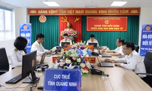 Phấn đấu đến hết năm 2021, 100% doanh nghiệp, tổ chức trên địa bàn tỉnh sử dụng hoá đơn điện tử