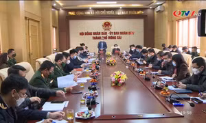 Thứ trưởng Bộ Công Thương làm việc tại TP Móng Cái về tình hình XNK nông sản