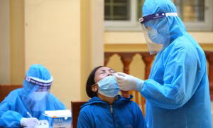 Ngày 8/12: Có 14.599 ca mắc COVID-19; TP.HCM, Kiên Giang và Bến Tre tăng hàng trăm ca