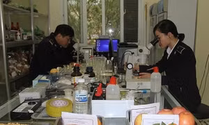 Sửa quy định thủ tục kiểm dịch thực vật xuất, nhập khẩu