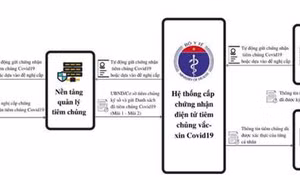 Quy trình 3 bước cấp 'Hộ chiếu vaccine' của Việt Nam