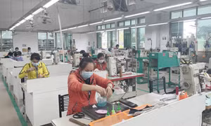 Tạo việc làm cho người lao động