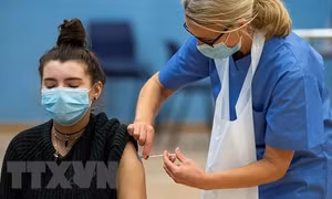 Anh: Nhiều người đã tiêm đủ vaccine vẫn nhiễm biến thể Omicron