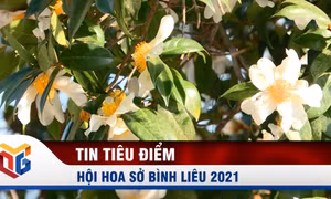 Hội hoa sở Bình Liêu năm 2021