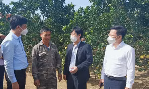 Điểm tựa vững chắc của nông dân