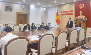 Nghe báo cáo hoàn thiện kế hoạch chuyển đổi số toàn diện Quảng Ninh giai đoạn 2021-2025