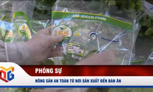 Nông sản an toàn từ nơi sản xuất đến bàn ăn