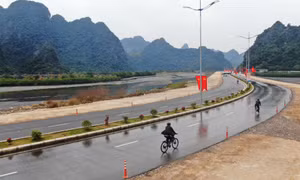 Những công trình vượt "bão Covid"
