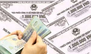 Thủ tướng chỉ đạo tăng cường quản lý, thanh tra, kiểm tra việc phát hành trái phiếu doanh nghiệp