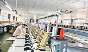 FTA - Động lực cải cách thể chế