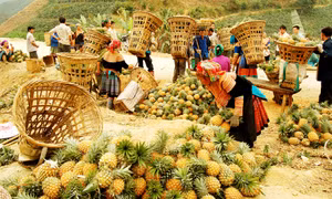 Chủ động, sáng tạo thực hiện “mục tiêu kép”