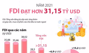Tổng vốn FDI năm 2021 của Việt Nam đạt hơn 31,15 tỷ USD