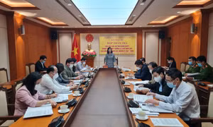 Ban Pháp chế HĐND tỉnh thẩm tra các báo cáo, dự thảo Nghị quyết