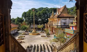 Hàng nghìn con vạc trú ngụ ở ngôi chùa trăm tuổi xứ Kiên Giang 