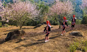 Sắc xuân biên cương