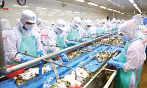 Xuất khẩu tôm hướng tới hơn 4 tỷ USD năm 2022