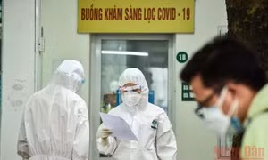 F1 tiêm đủ liều vaccine, hoặc đã khỏi Covid-19 trong 6 tháng được cách ly y tế tại nhà 7 ngày