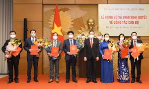 Ủy ban Thường vụ Quốc hội phê chuẩn, bổ nhiệm nhiều nhân sự mới